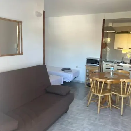 Tantulia Ficus Loft