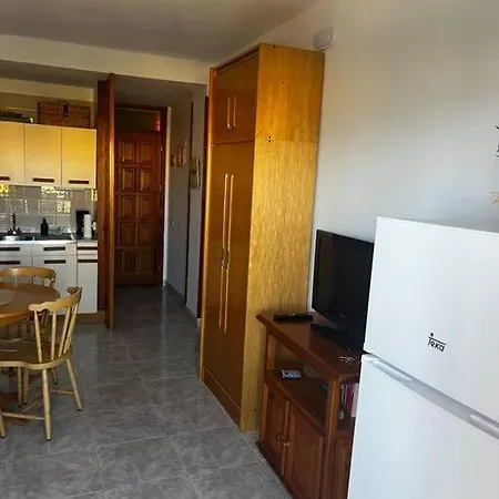 Tantulia Ficus Loft * La Laguna (Tenerife)
